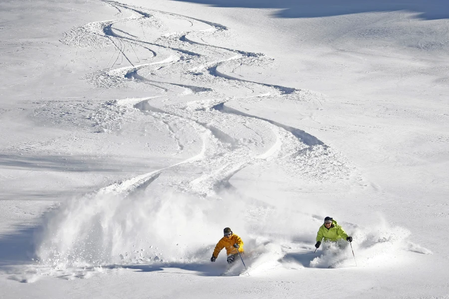 Deux skieurs descendent une piste de neige poudreuse. Derrière eux ils laissent la trace de leurs virages dans la neige.