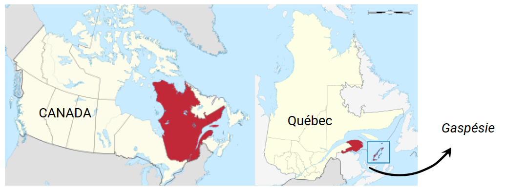carte du Canada positionnant la Gaspesie et Quebec