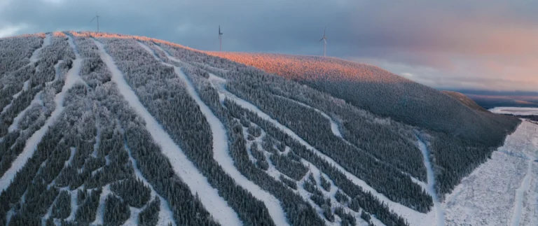 Peaux de Phoque en Gaspésie