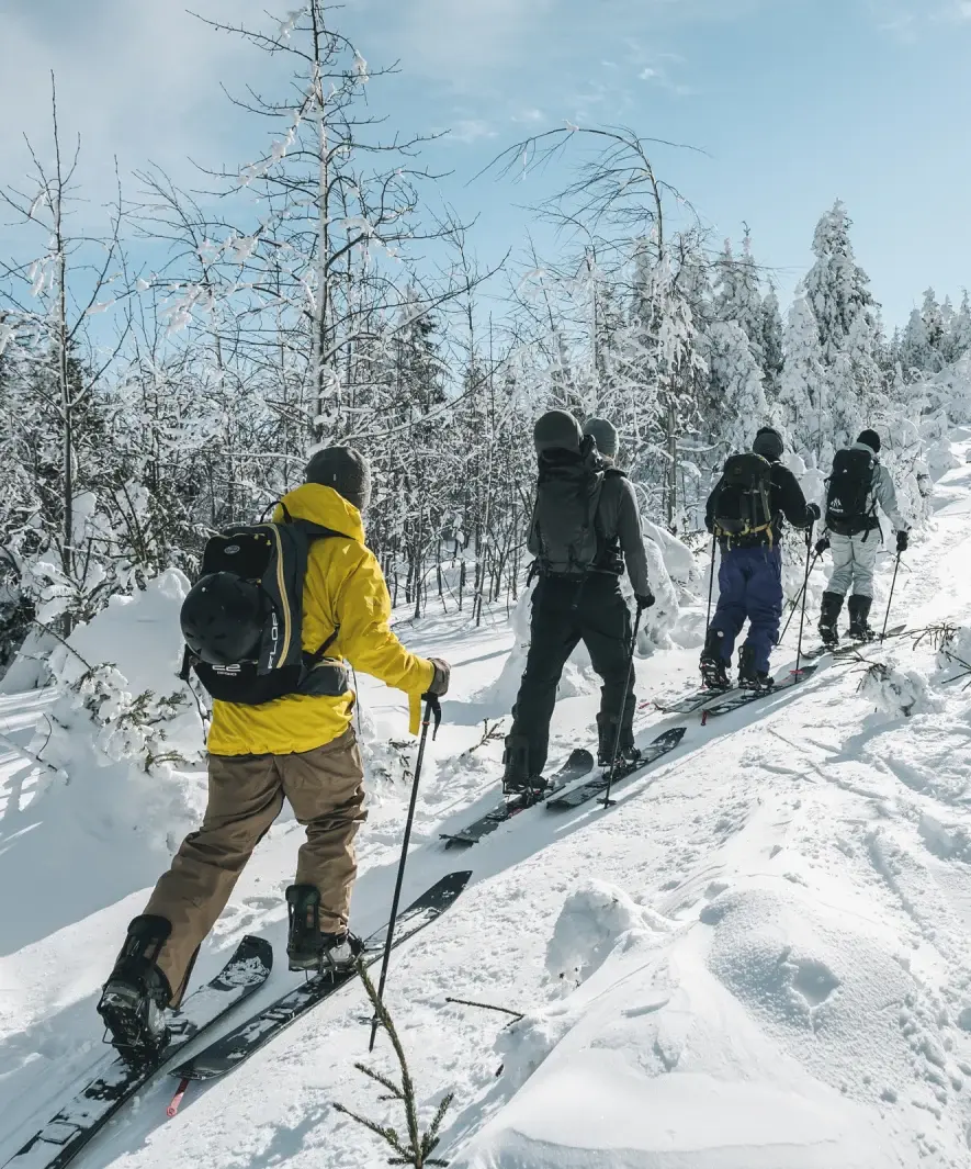 4 randonneurs ski de fond en peau de phoque se suivent sur un chemin enneigé.
